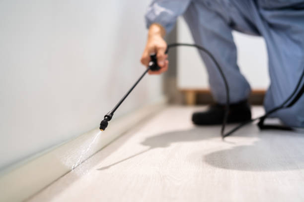 Licensed Pest Control service in Las Maravillas, NM - Show Me Pest Control